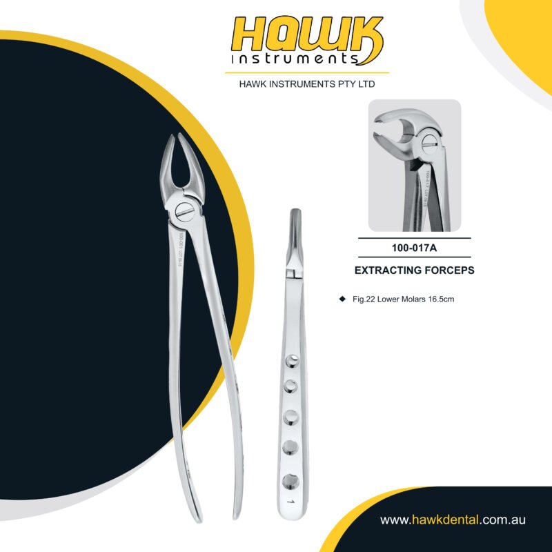 Hawk Instruments Lower Molar Extraction Forceps for controlled and precise tooth removal in Australia
